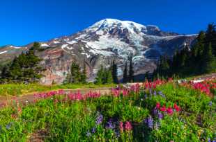 Mt. Rainier from Paradise-0359.jpg Mt. Rainier from Paradise-0359.jpg